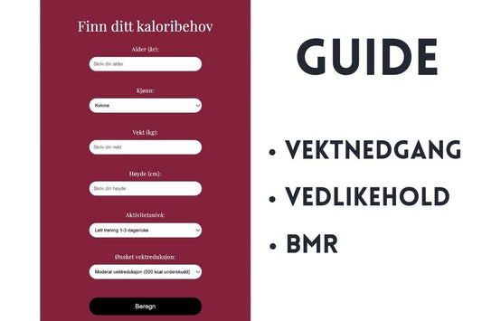 Slik bruker du kalorikalkulator - Elenamellingen.no
