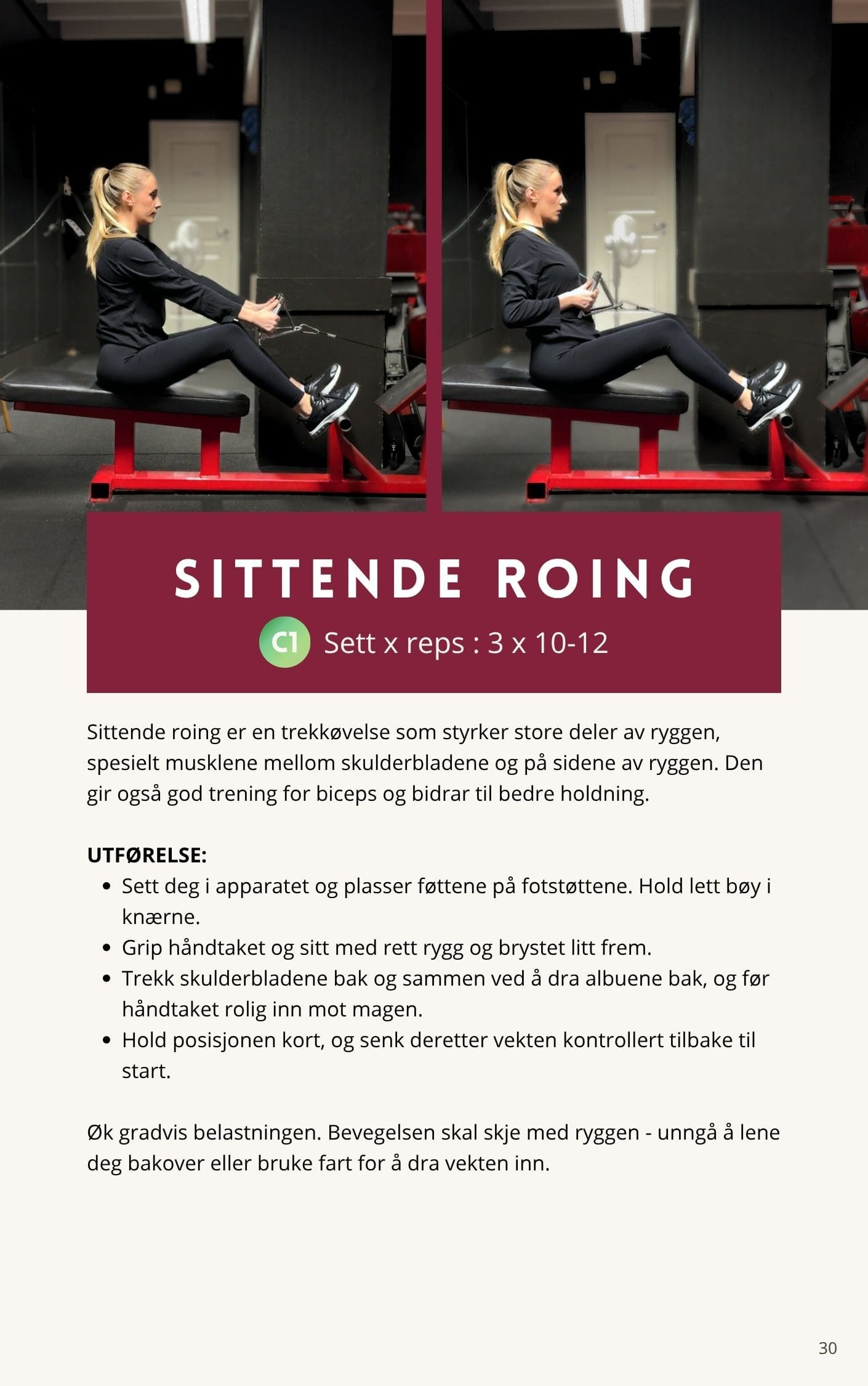 Styketrening gjort enkelt - Elenamellingen.no