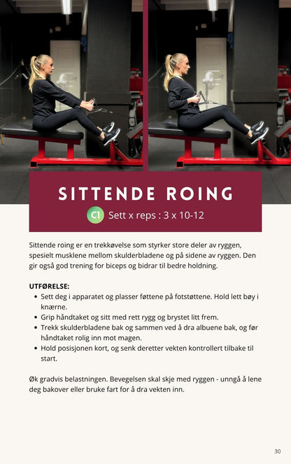 Styketrening gjort enkelt - Elenamellingen.no